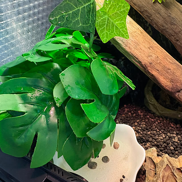 otanuさんの部屋