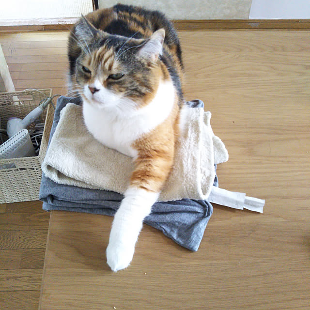 yukieさんの実例写真