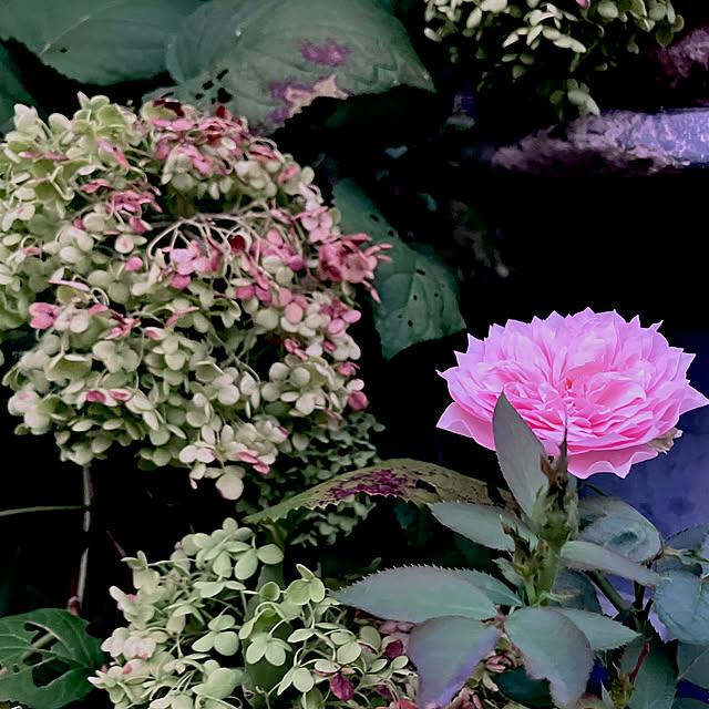 .tinkunさんの部屋