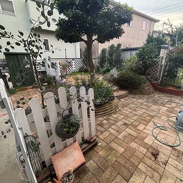 momocchiさんの実例写真