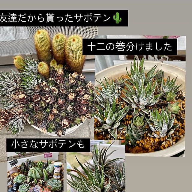 YuuKoさんの実例写真