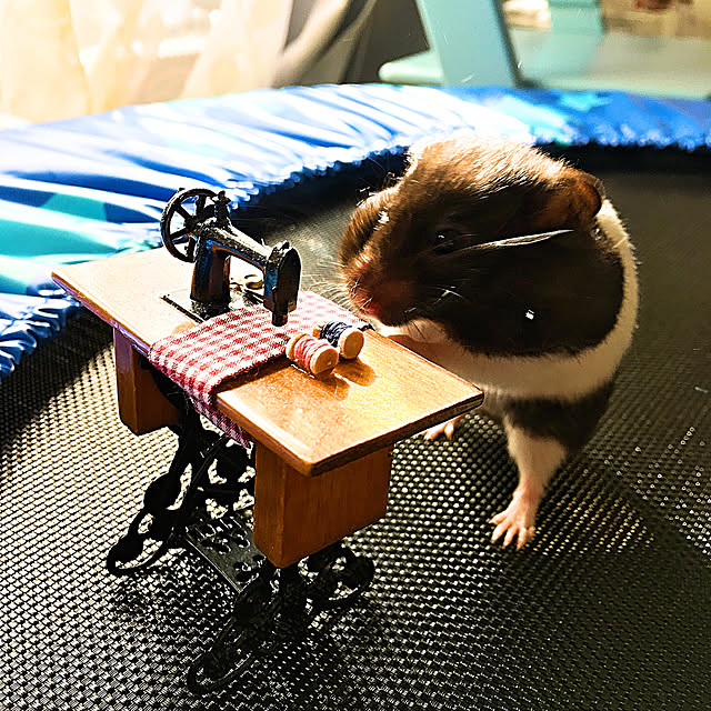 bambiさんの実例写真