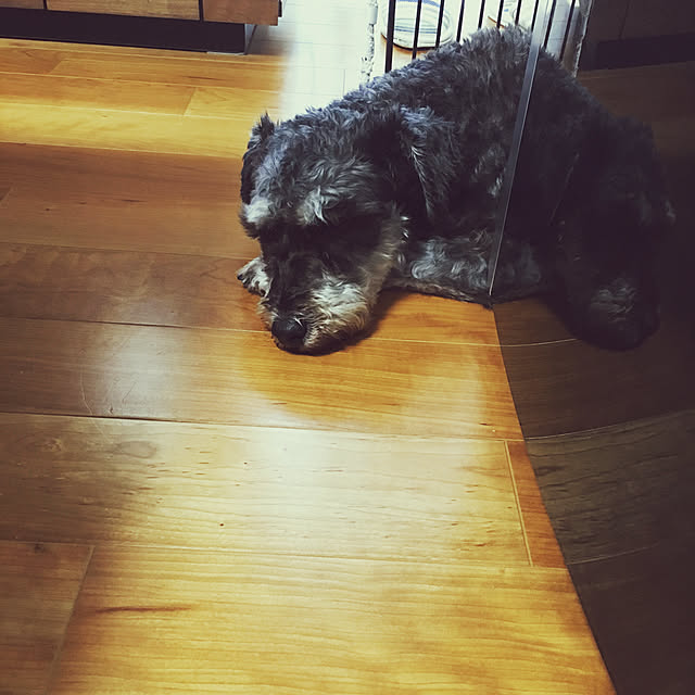 coco.さんの実例写真