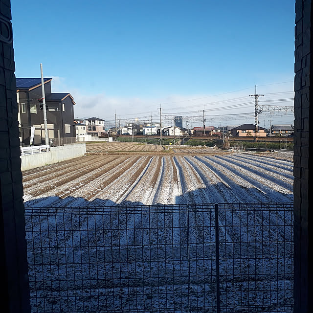 aiさんの実例写真
