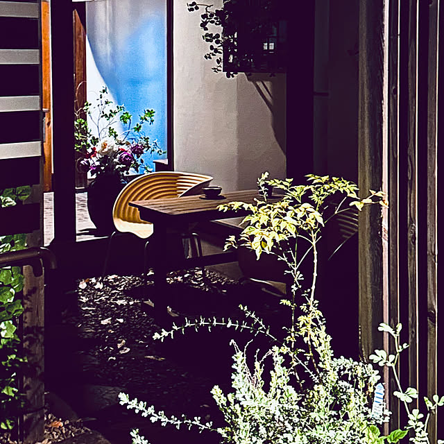 chacoさんの部屋