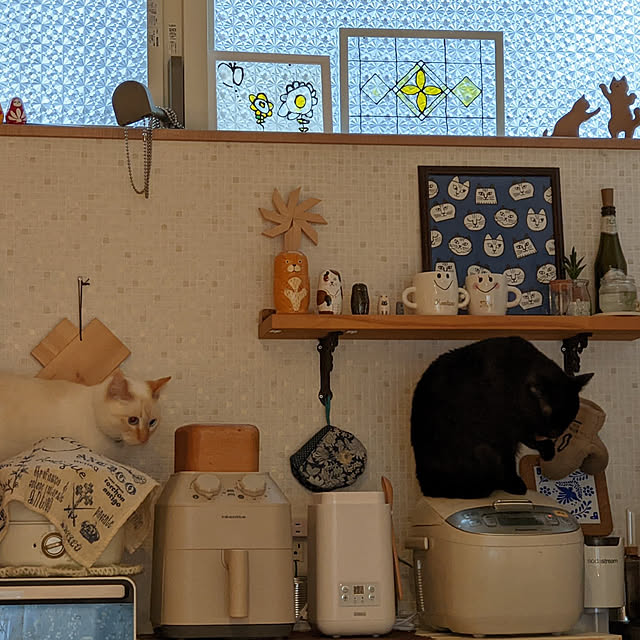 jacky-m-さんの実例写真