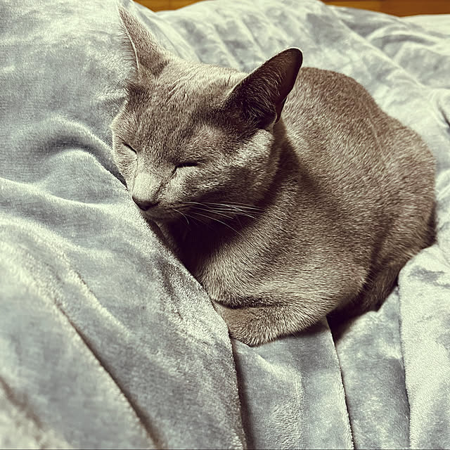 kyonさんの実例写真