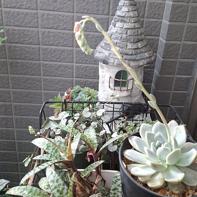 noaさんの部屋