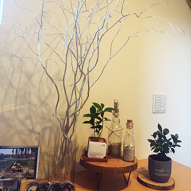 natsuさんの実例写真