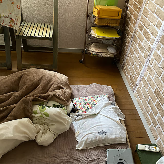 SHIHOさんの実例写真