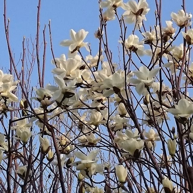 Bienvenueさんの実例写真