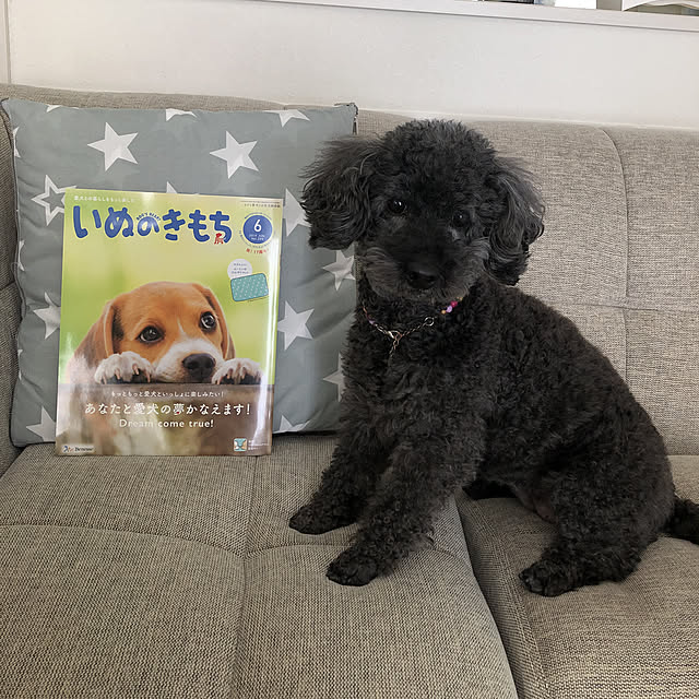 mama_panさんの実例写真