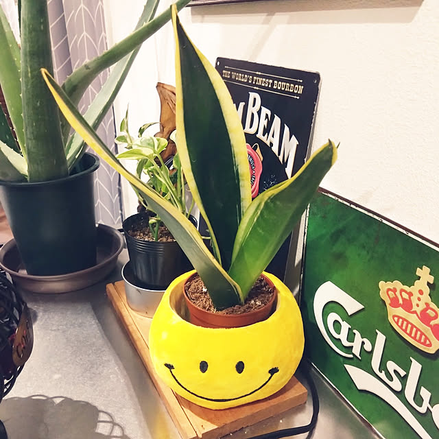 NAOKIさんの実例写真