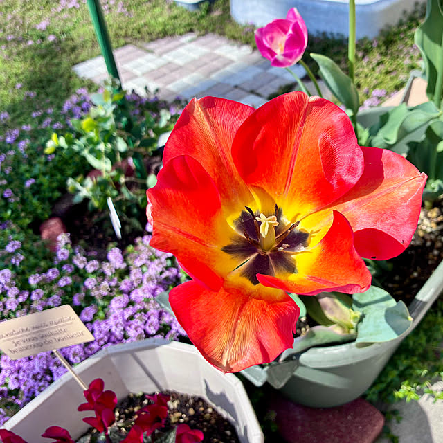 Junさんの実例写真