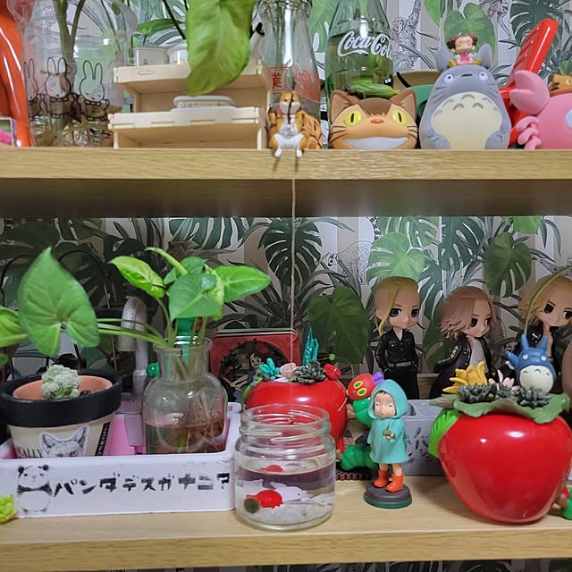 ANTENNAさんの実例写真