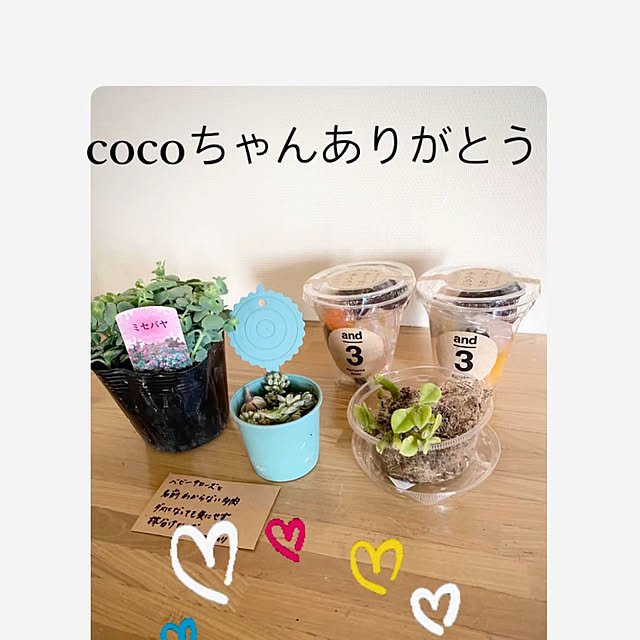 YuuKoさんの実例写真