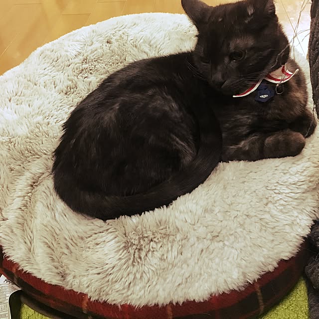 nmcさんの実例写真