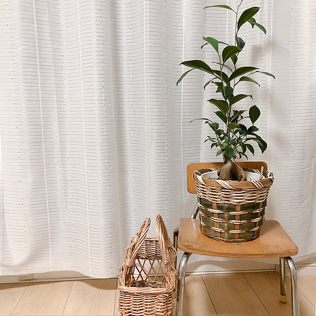 miさんの実例写真