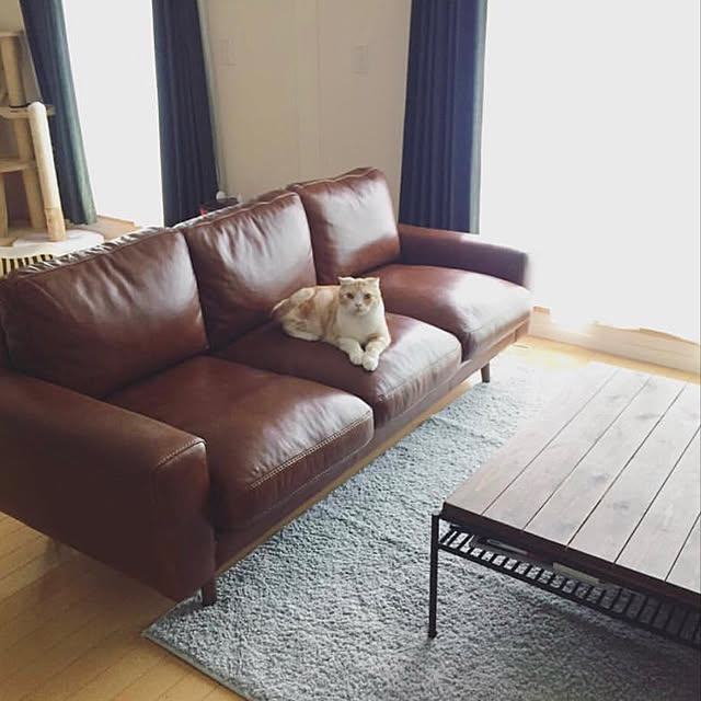 cocoさんの実例写真