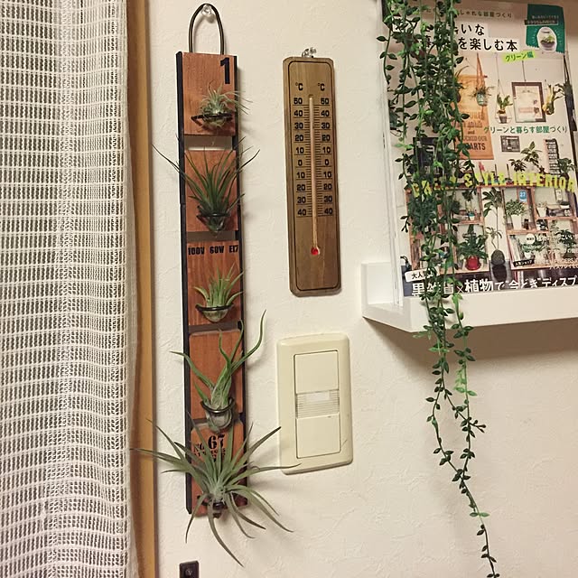 demicchigoさんの実例写真
