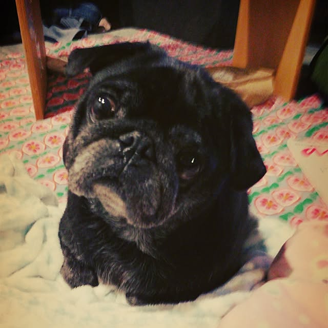 akcさんの実例写真