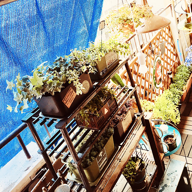remoza0310さんの実例写真