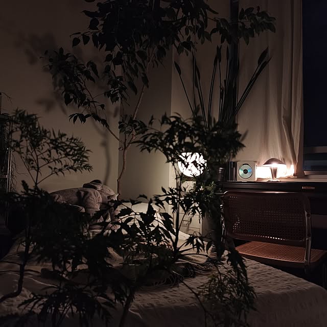 ベッド周り/観葉植物のインテリア実例 - 2024-09-19 00:19:18