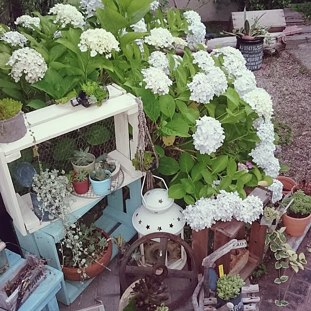 highig16さんの実例写真
