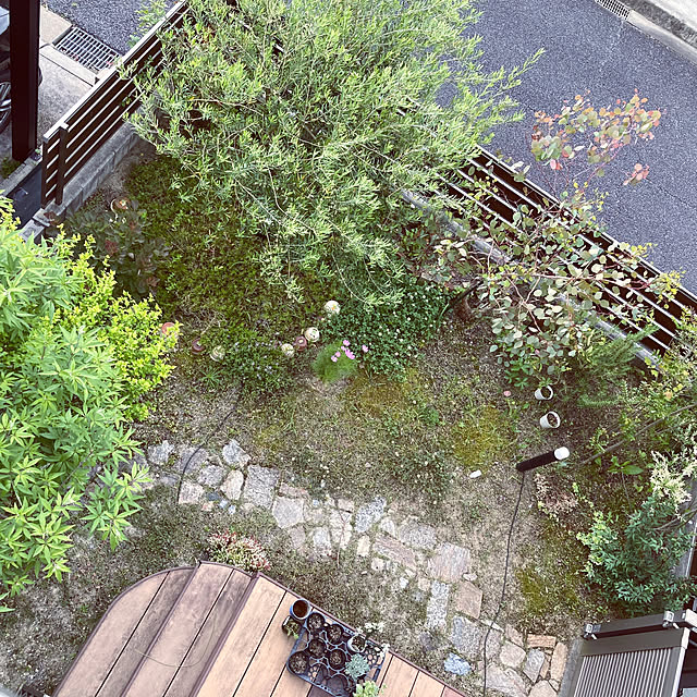 ayayayayaさんの実例写真