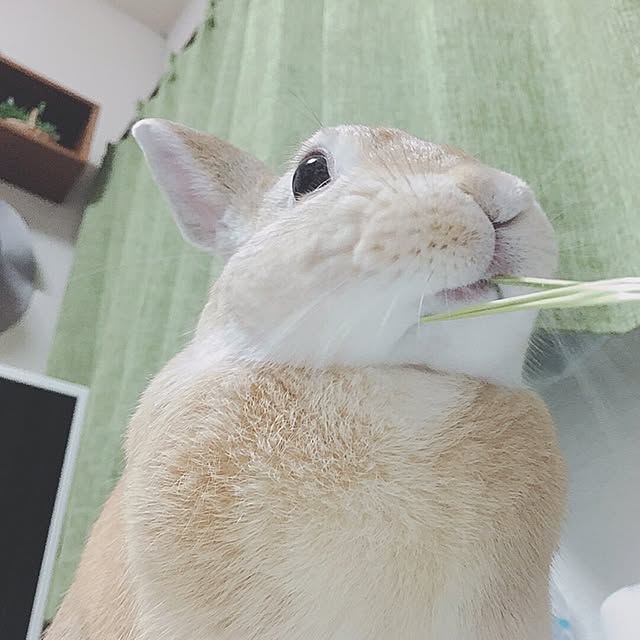 khj1974さんの実例写真