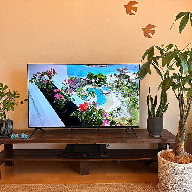 mi1226kaさんの部屋