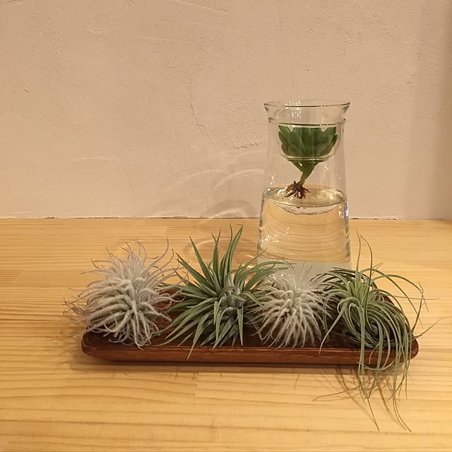 m.r.s.さんの実例写真
