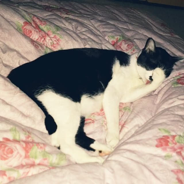 oliveさんの実例写真