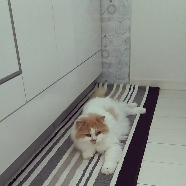 nonkoさんの実例写真