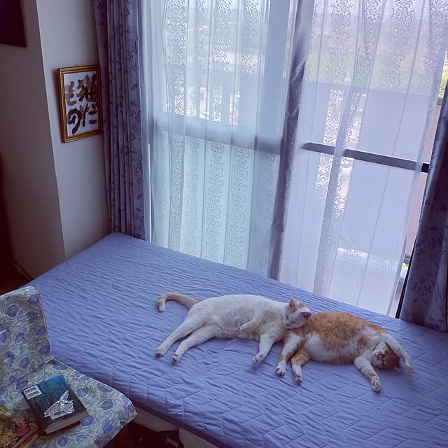 NOAHさんの実例写真