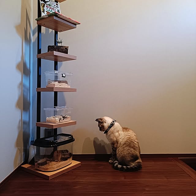 Atelier_tamakiさんの実例写真