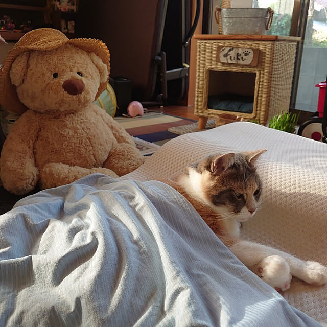 fukuさんの実例写真