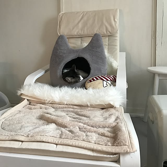Shihoさんの実例写真
