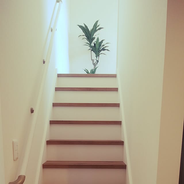 chihaさんの実例写真
