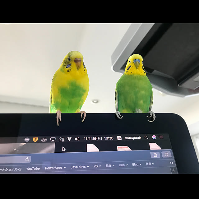 実例写真