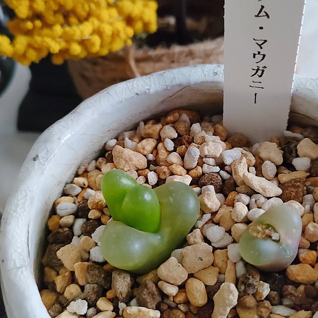 teamoさんの部屋