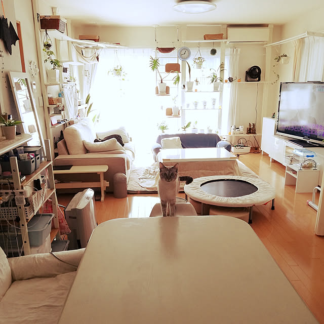 sisimaru1023さんの実例写真