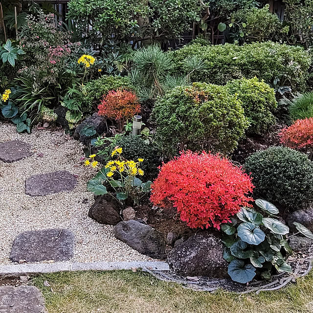 gardenさんの実例写真