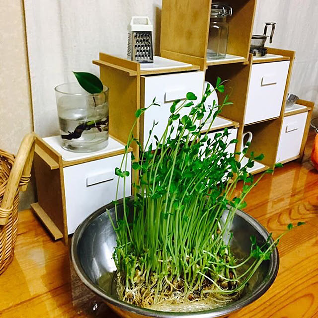 yomiyomiさんの実例写真