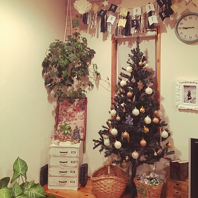 akaringoさんの実例写真