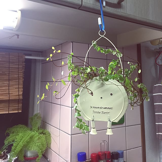takakoさんの実例写真