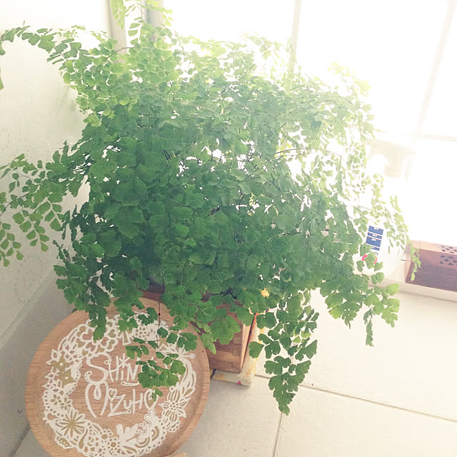 Peaceさんの実例写真