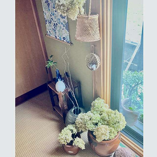 CoCo0617さんの部屋