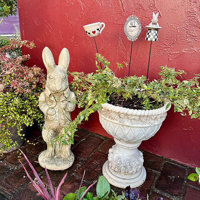 AYUKOさんの実例写真