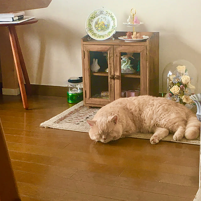 naokoさんの部屋